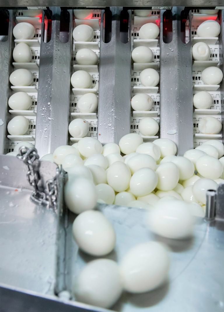 Les Ovoproduits - CNPO Site filière