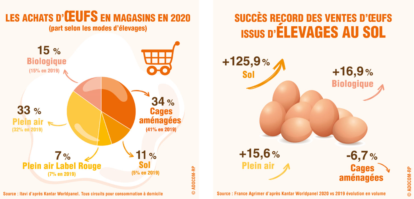 https://oeuf-info.fr/public/uploads/2015/10/infographies-achats-elevages.jpg